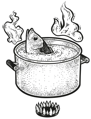 fish in pot